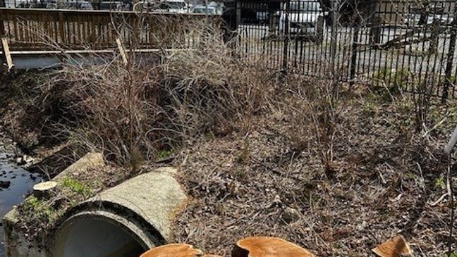 Vienna, Virginia near W & OD Trail (7News){&nbsp;}