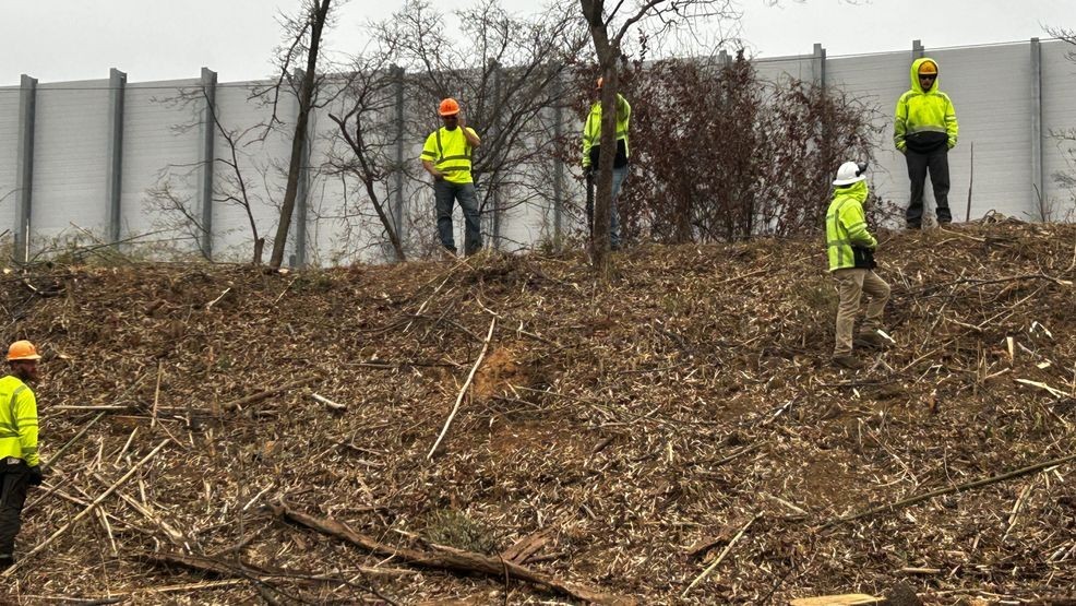 Image for story: Dominion Energy commits to replanting trees along the W&OD trail after cutting hundreds 