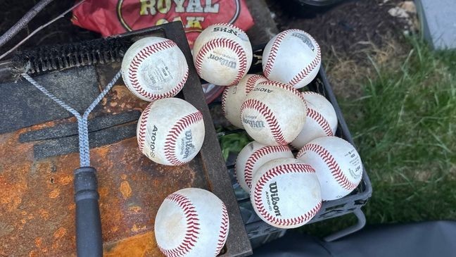 Foul balls landing in home owner's backyards.{&nbsp;}(Yakov Elizarov)