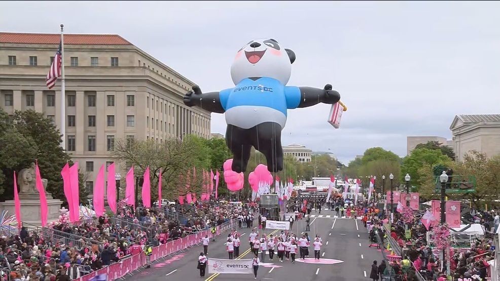 Image for story: 7News hosts the 2025 National Cherry Blossom Festival Parade in Washington, DC