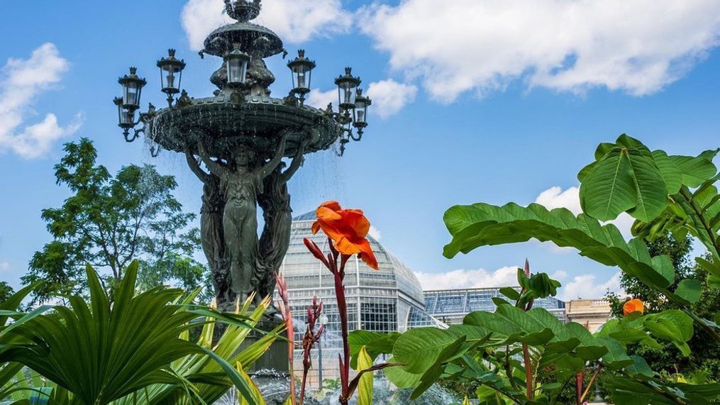 A photo from{&nbsp;}Bartholdi Park in Washington, D.C. (courtesy of Troy Meyer){p}{/p}