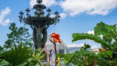 Image for story: DC Weather: Wednesday morning fog gives way to sunshine and warm highs in the 80s