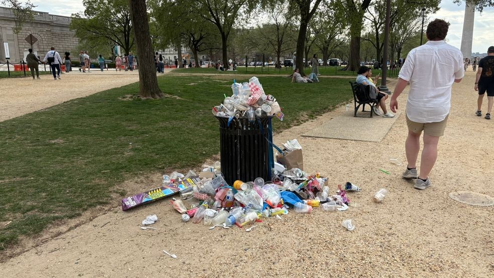 Trash piles on the National Mall after crowds pack DC for peak bloom in late March 2025. (Audrey Schaefer)