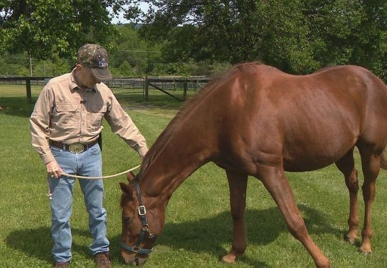 Image for story: 'This is what saved my life': Veterans find healing on horseback in Loudoun County