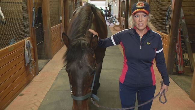 A unique form of therapy is offering hope and healing to military veterans struggling with PTSD. (7News){p}{/p}