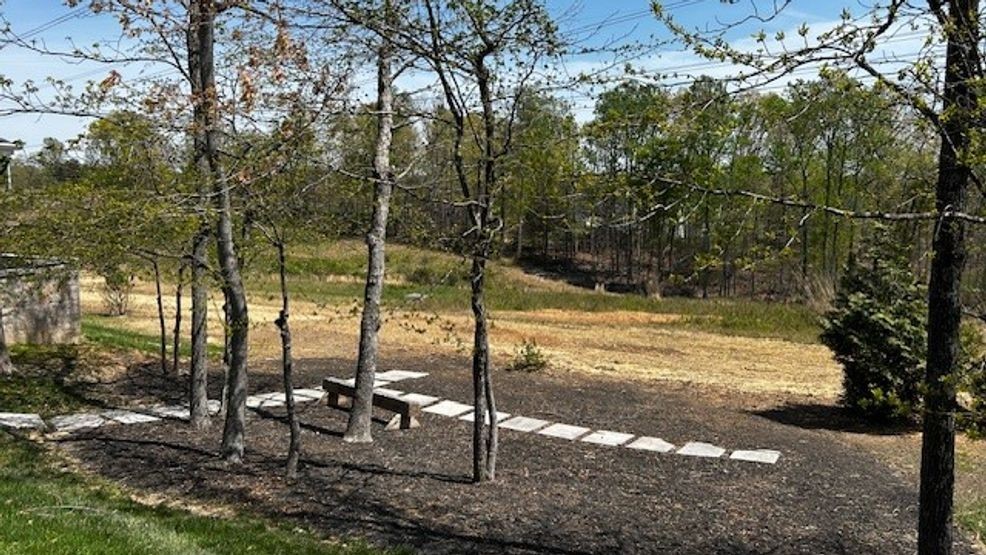 Image for story: Environmental groups frustrated by Dominion clear-cutting trees along historic Va. trail