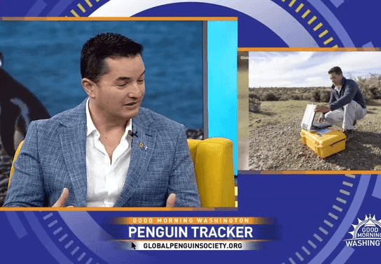 Image for story: 2025 National Geographic explorer spotlights penguin conservation efforts
