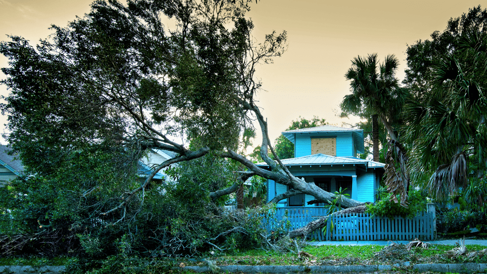 Image for story: Hurricane-related tax relief: 4 tips to help you weather the financial aftermath