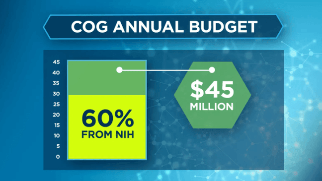 {p}Losing federal funding would pose an "existential threat" to COG (Photo: SBG){/p}{p}{/p}