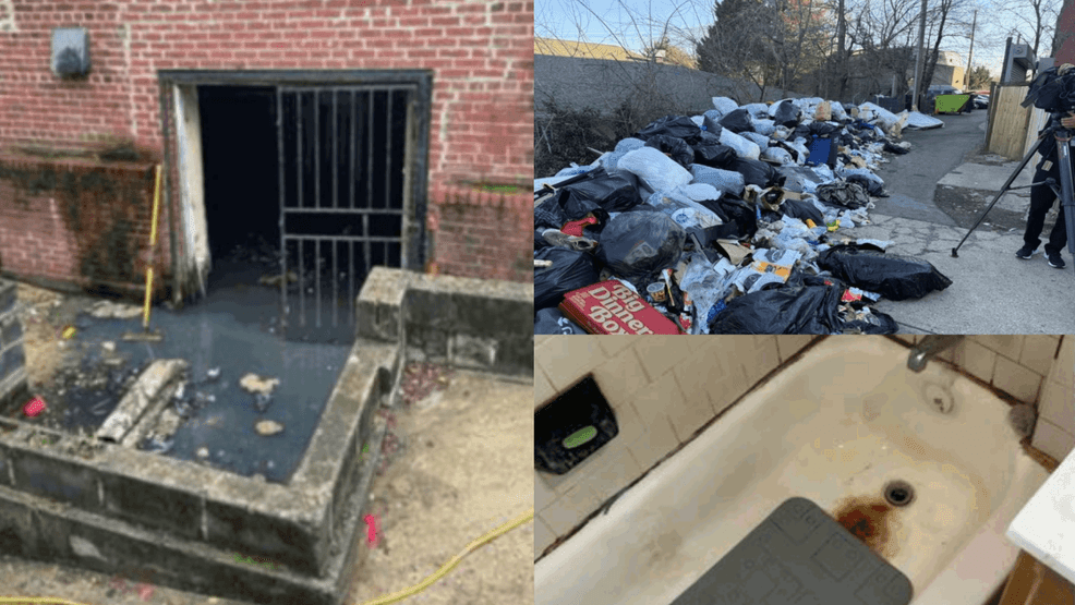 D.C.'s Department of Buildings (DOB) is telling 7News it is coming after landlords, who are allowing their tenants to live in rat-infested and dilapidated apartments in the district. (OAG)