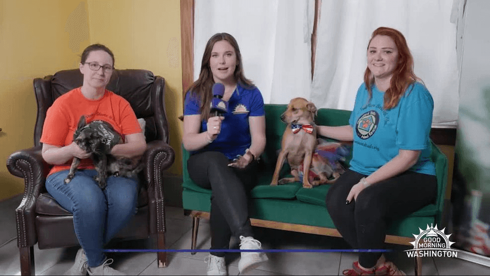 Image for story: Paws for Patriots: Free Adoptions for Military Families at Homeward Trails